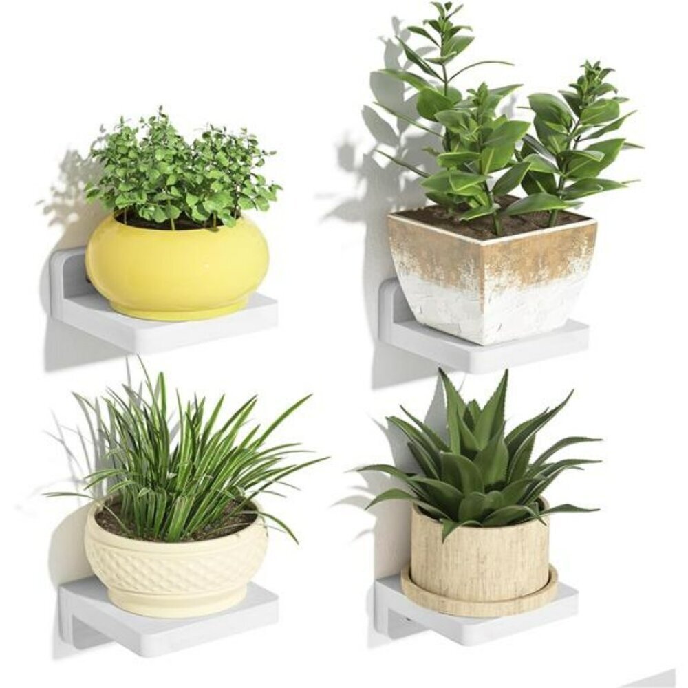 SRIWATANA Mini Floating Wood Shelves Set of 4 Wall Mounted Storage Decor